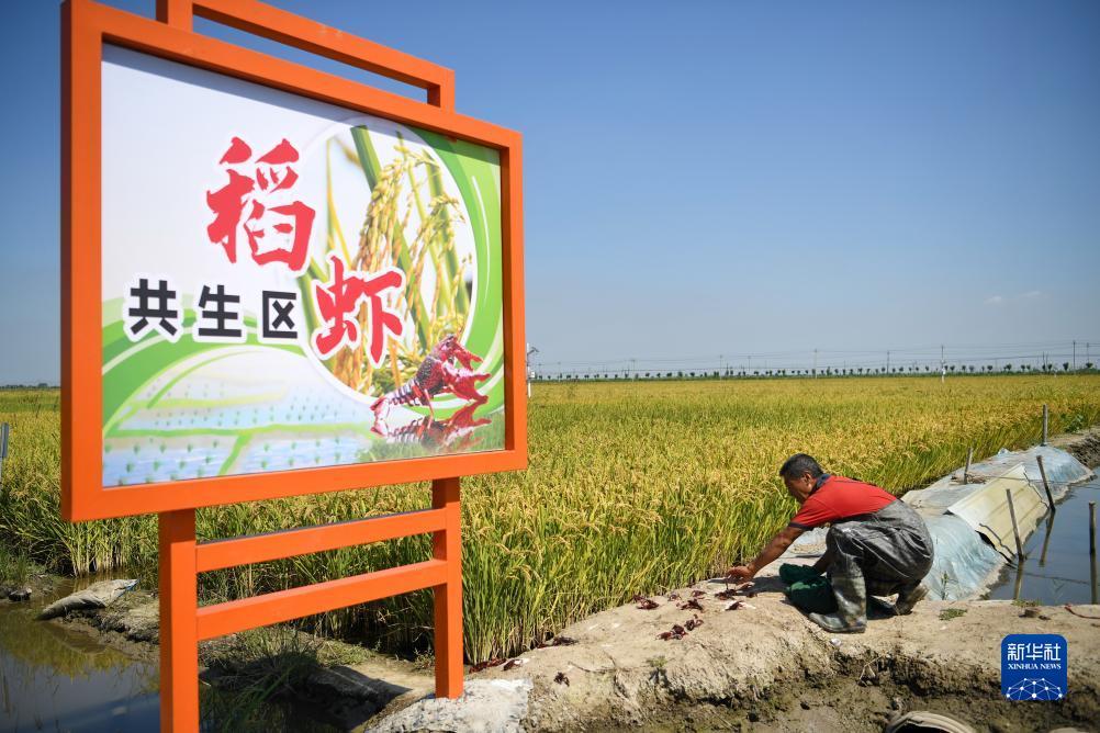 24小时下分
